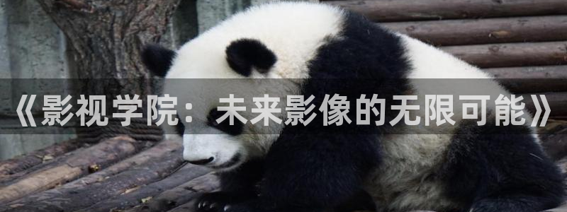 被窝影院手机版