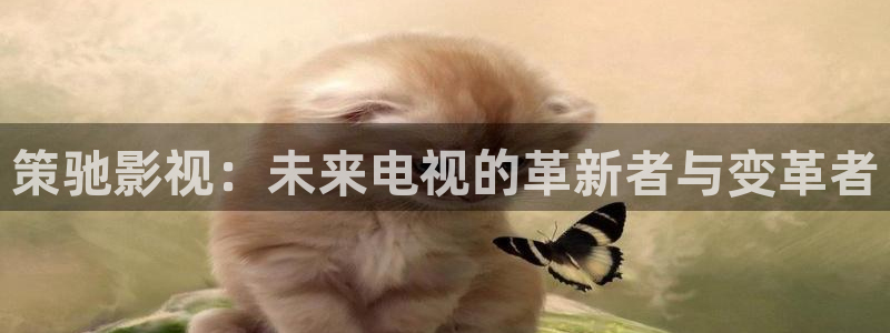 被窝电影免费观看：策驰影视：未来电视的革新者与变革者