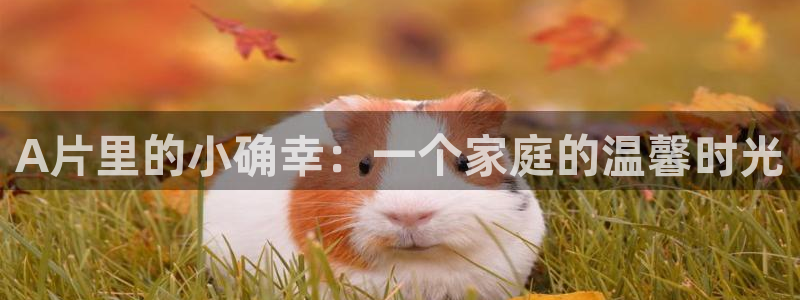 被窝电影被窝网：A片里的小确幸：一个家庭的温馨时光