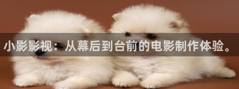 久久影院九九被窝爽爽：小影影视：从幕后到台前的电影制作体验。