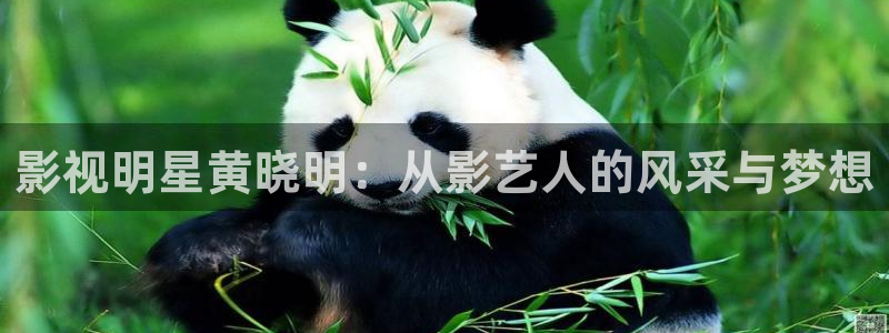 新被窝电影院：影视明星黄晓明：从影艺人的风采与梦想